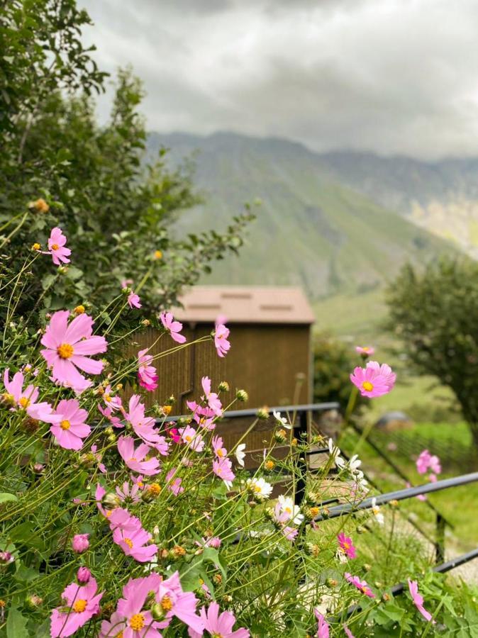 My Space Kazbegi Lägenhet Exteriör bild